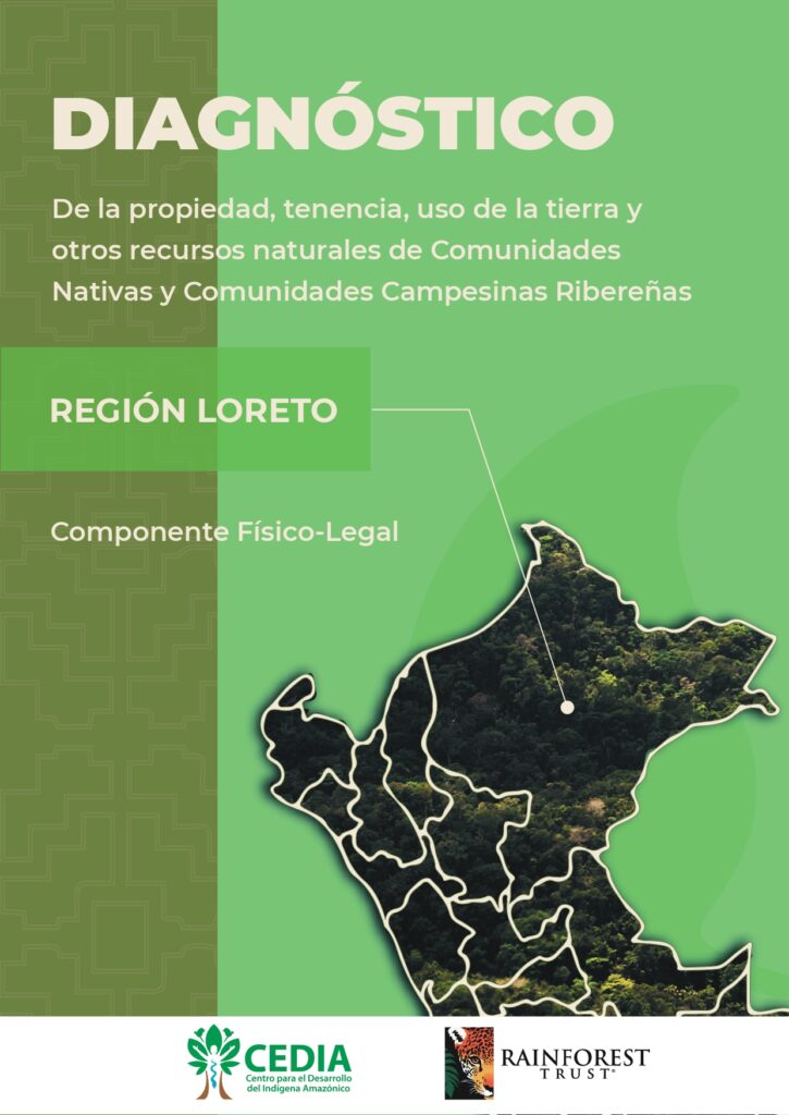 Diagnóstico Loreto 2024