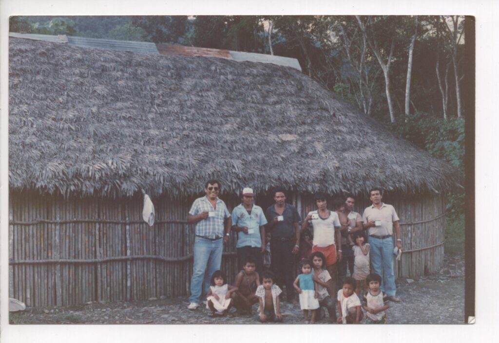 Hito 1982