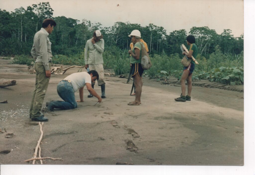 Hito 1986